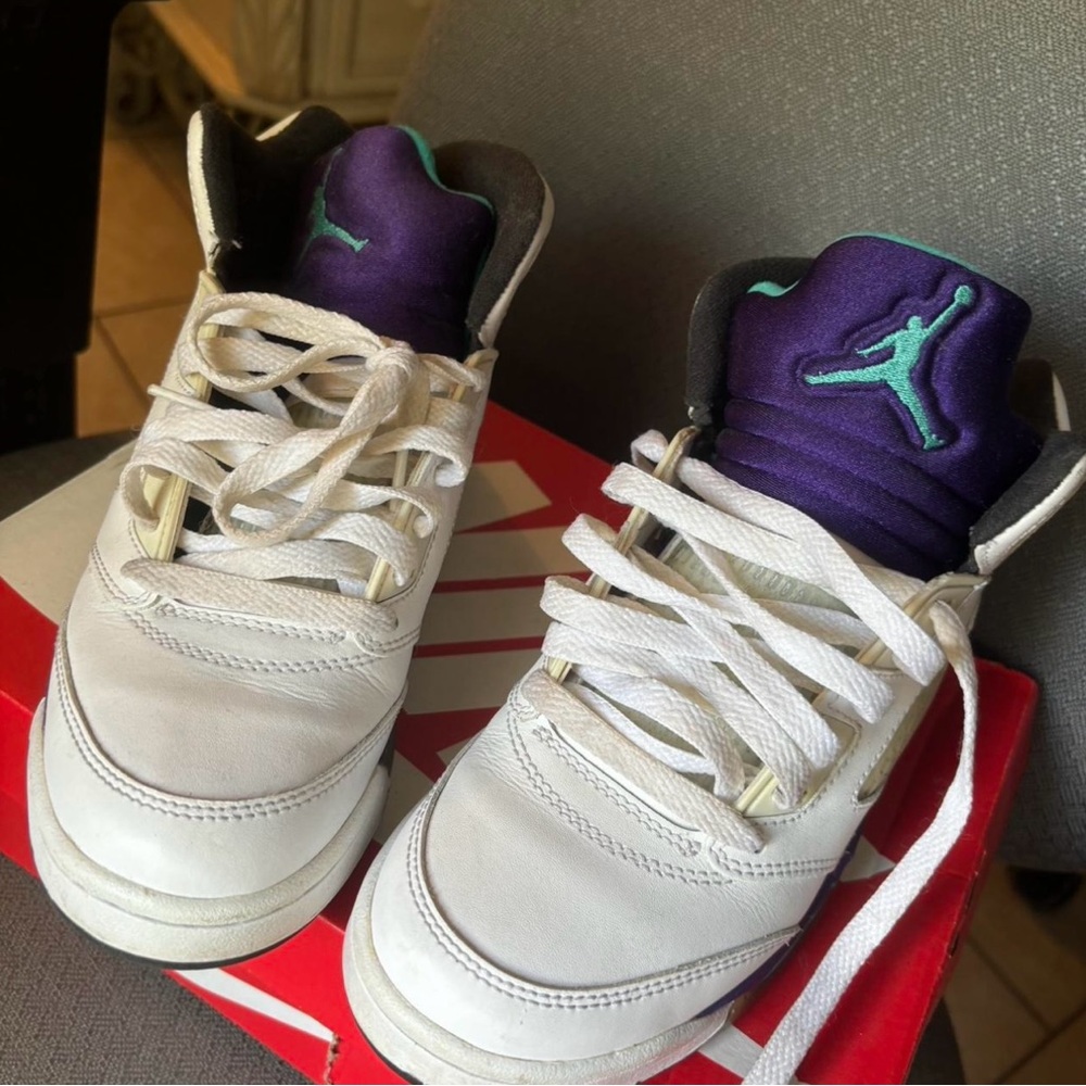 Air Jordan 5 Grapes